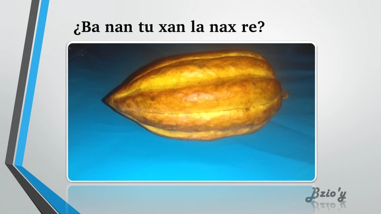 Bzioy